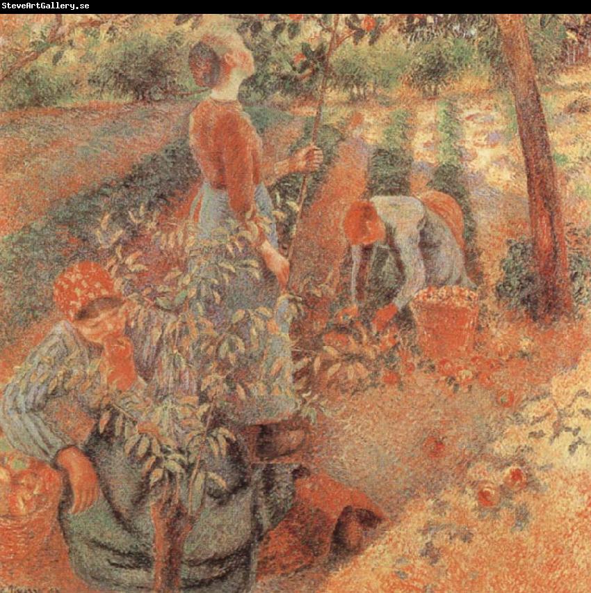 Camille Pissarro Apple picking